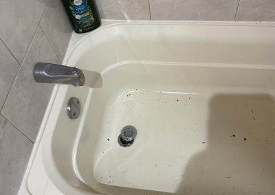 Reliable Handyman Specialist